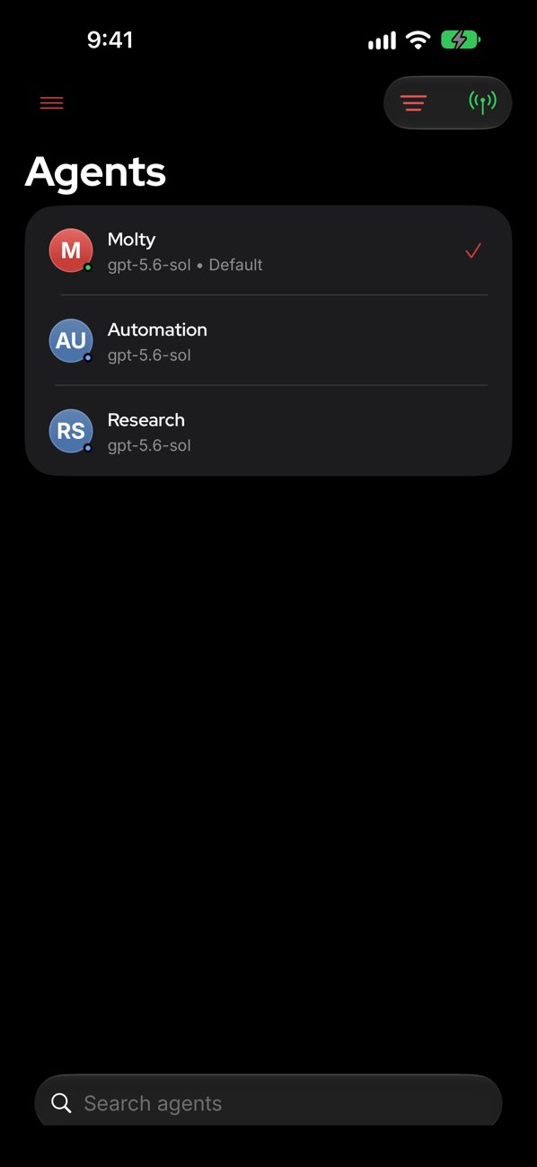 OpenClaw 应用的 Agents 页,可切换多个智能体