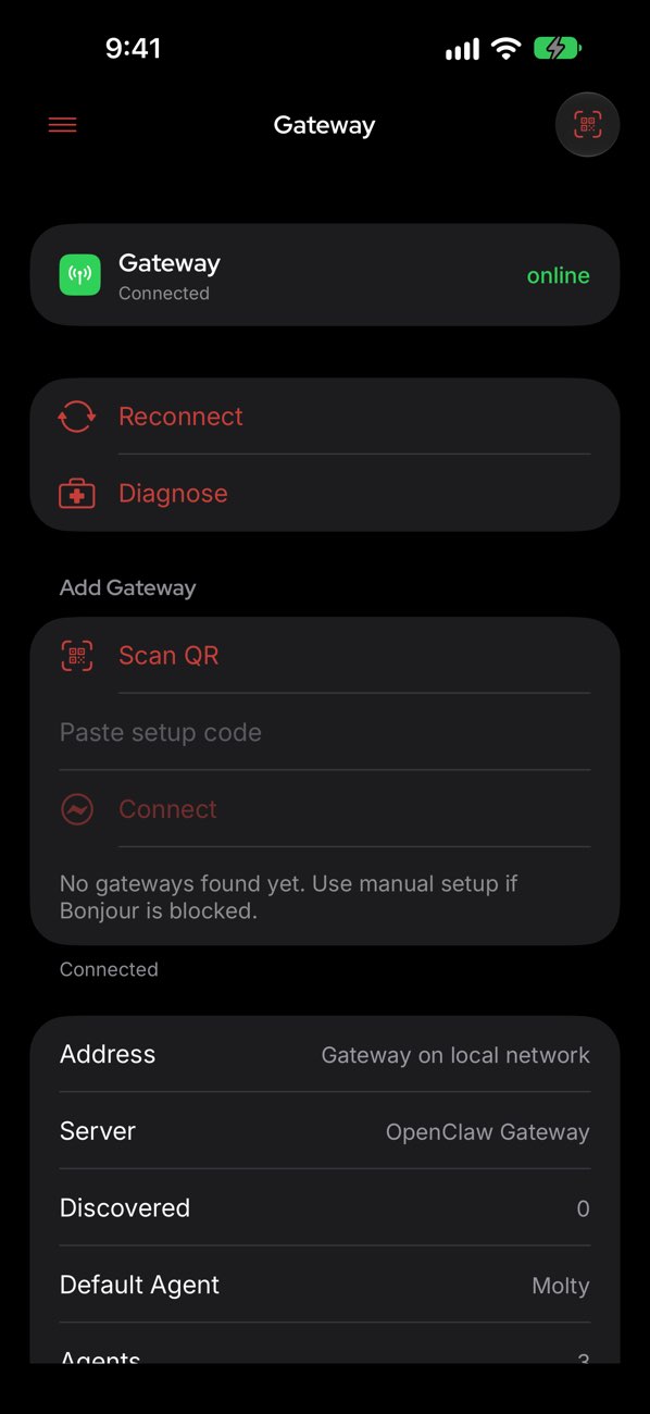 OpenClaw 应用的 Gateway 连接页，显示在线状态与扫码入口