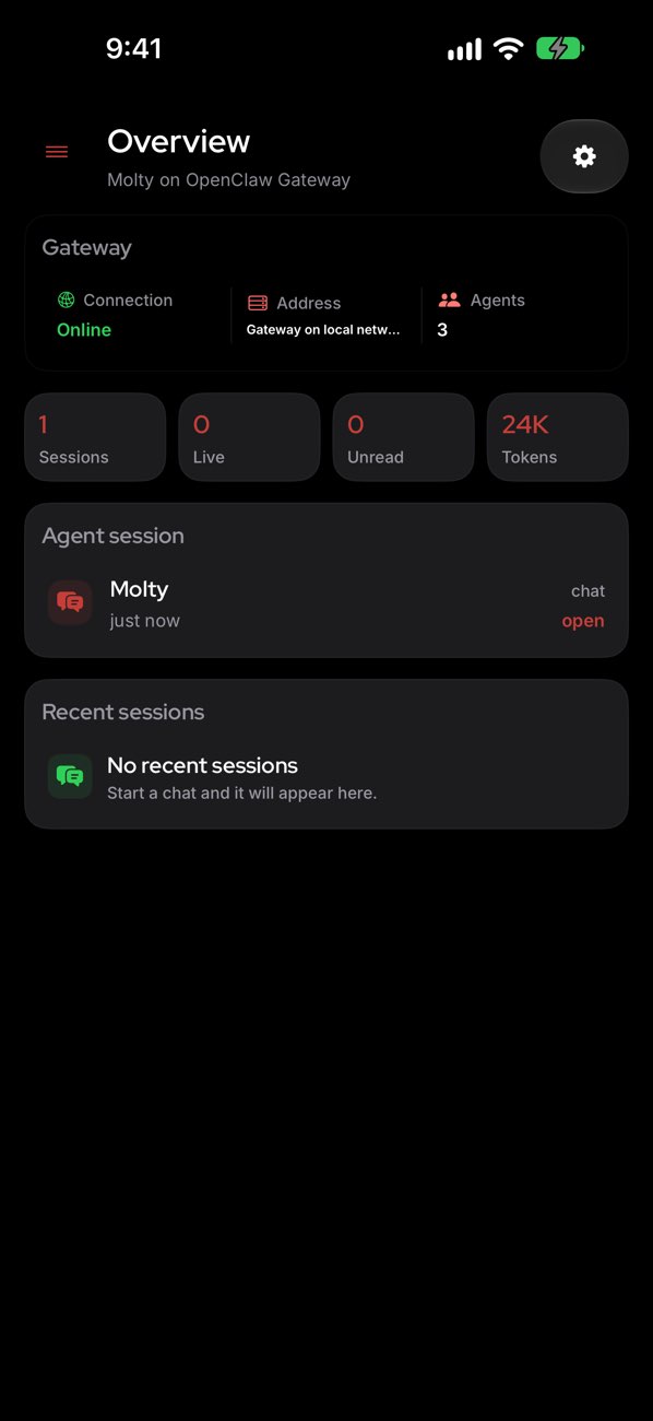 OpenClaw 应用 Overview 页：网关状态、会话与 Token 概览